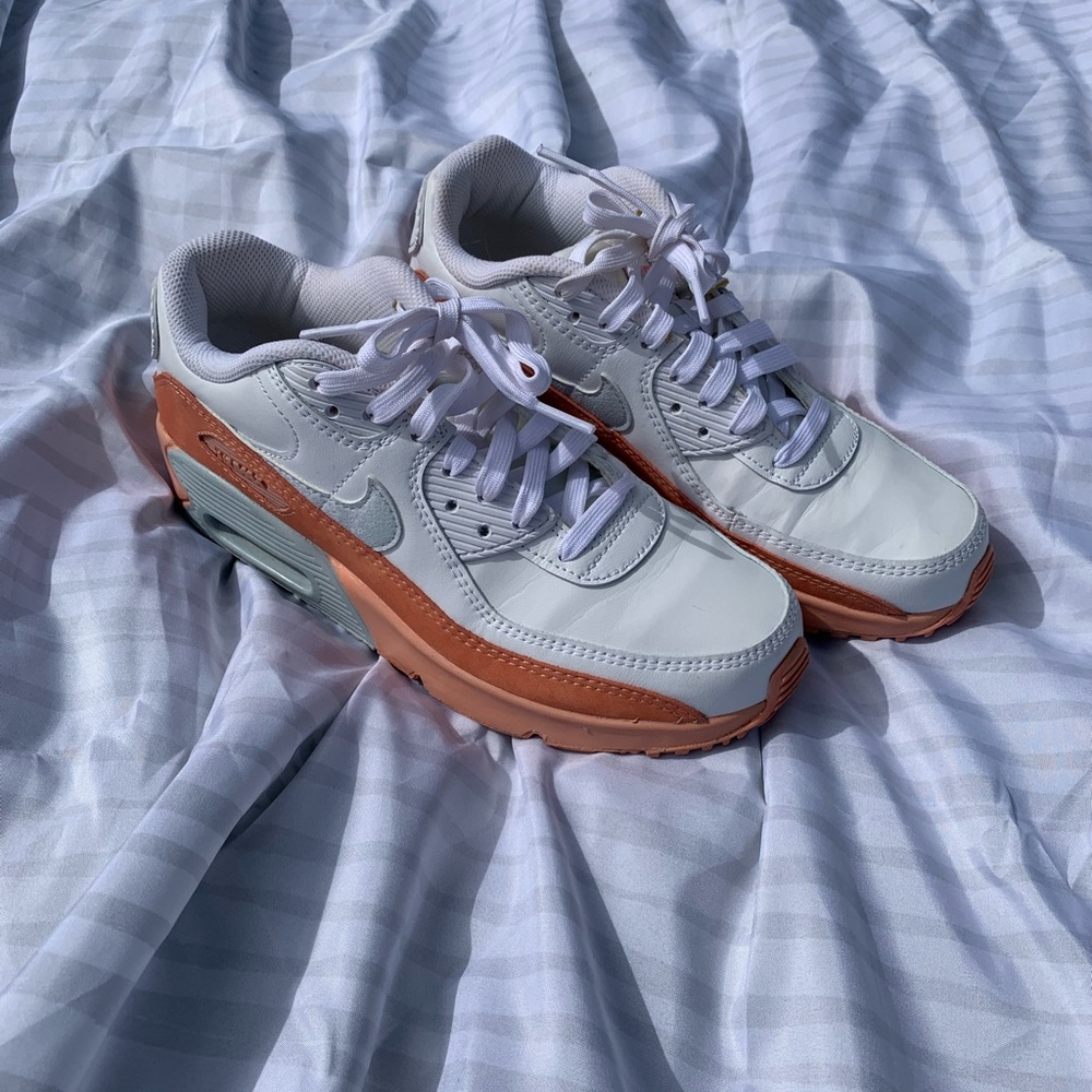 Air Max 90 LTR SE Salmon White / Aura / Lite Madder Root